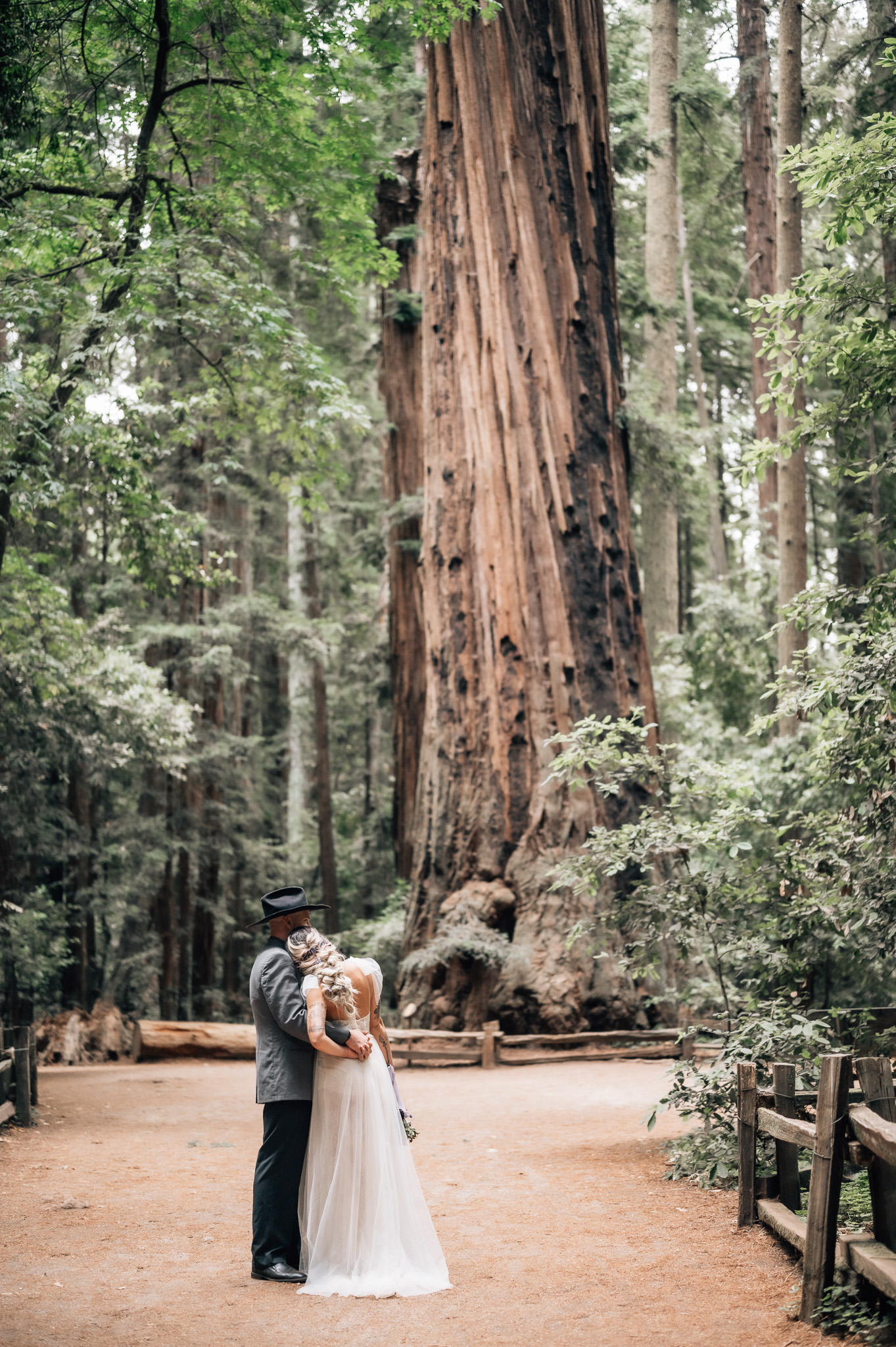 bride and groom on trail in front of large red wood tree